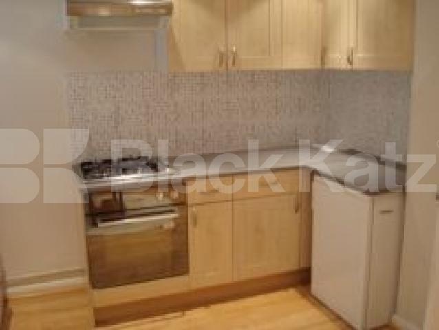 			GARDEN FLAT, 1 Bedroom, 1 bath, 1 reception Flat			 Buckingham Road, Islington