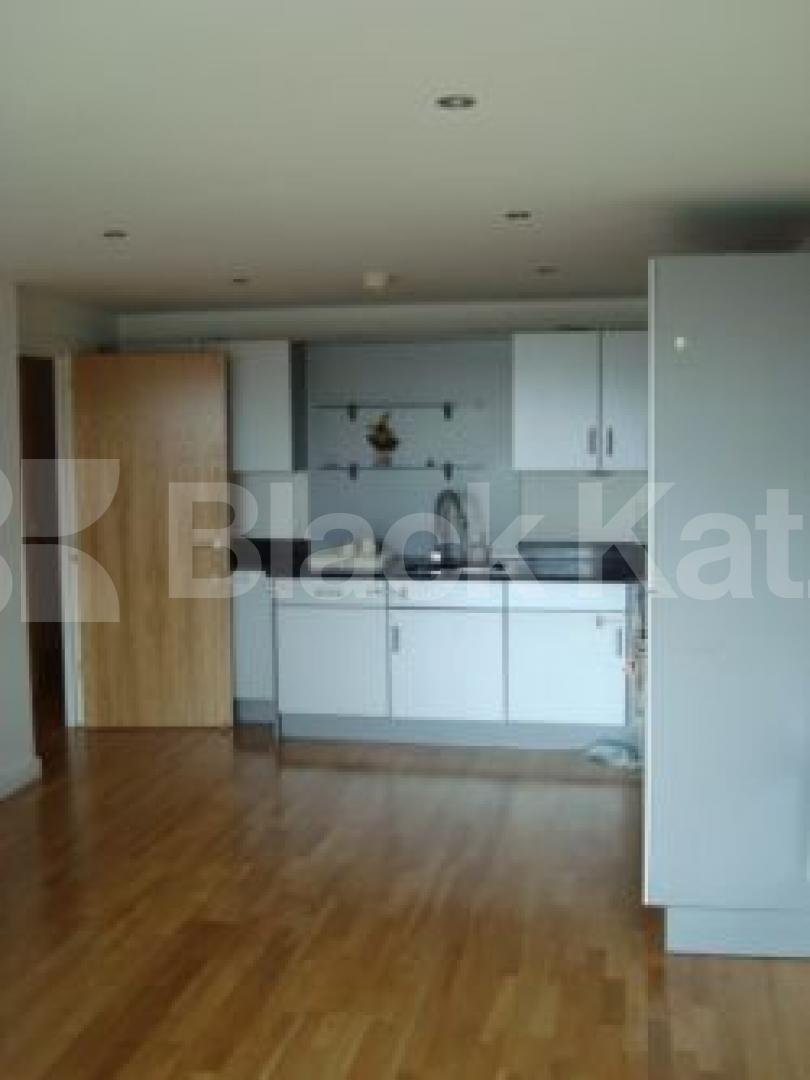 			New instruction, 2 Bedroom, 1 bath, 1 reception Flat			 Balmes road, ISLINGTON