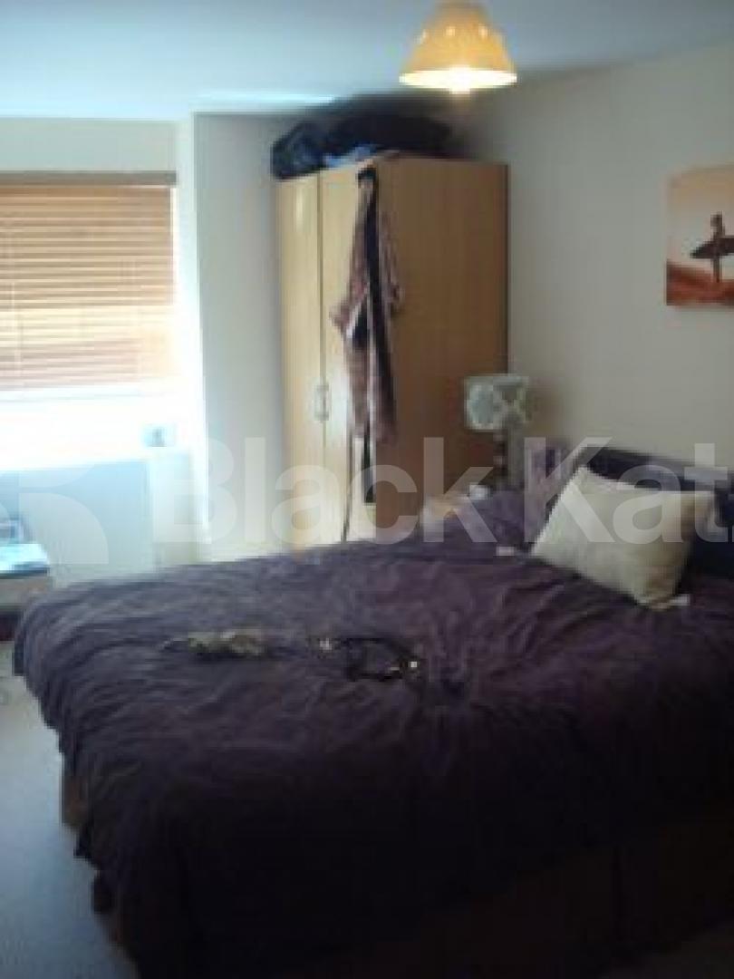 			MUST SEE !!!!, 3 Bedroom, 1 bath, 1 reception Mews House			 Beatrice Road, FINSBURY PARK