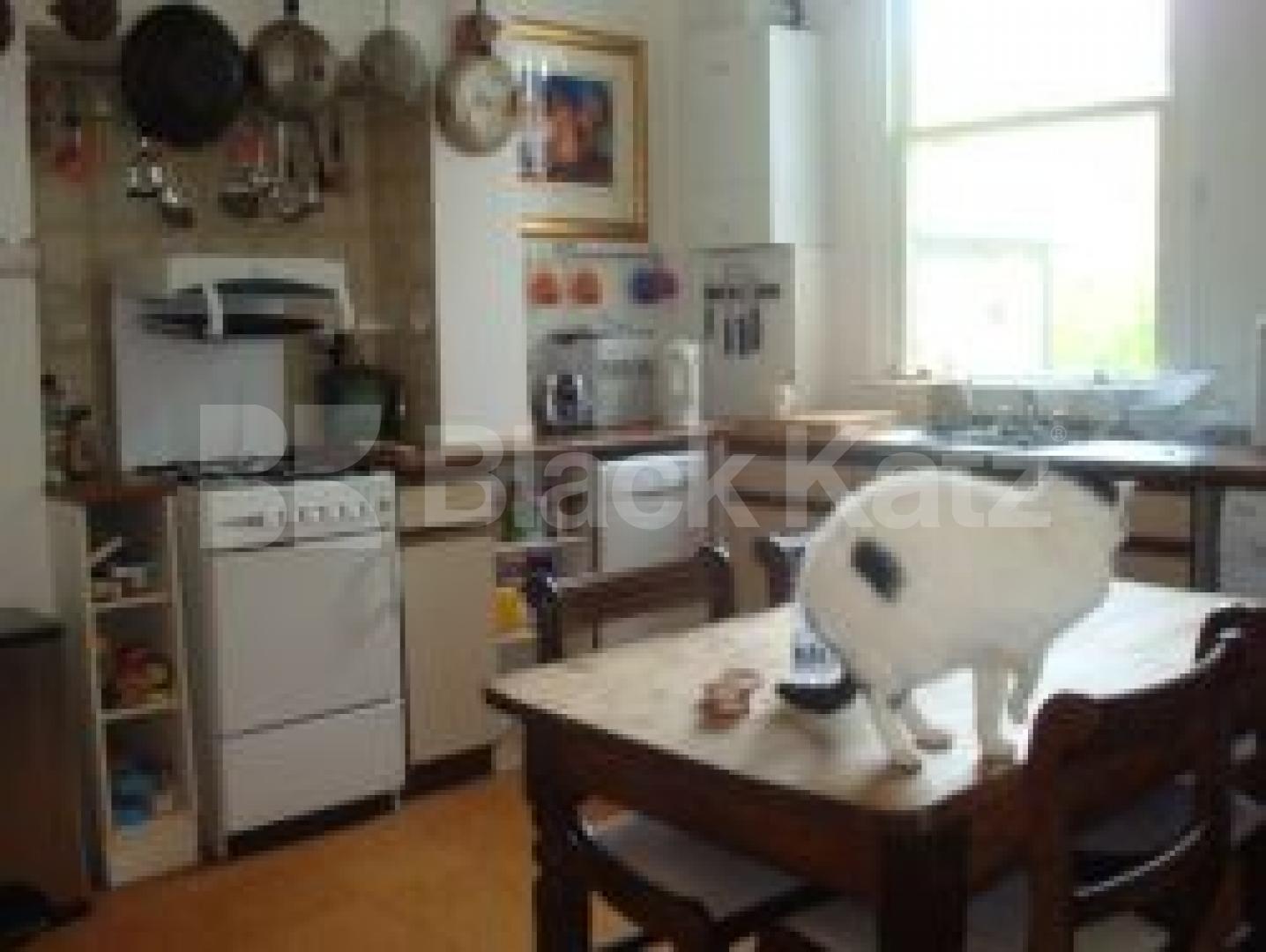 			New Instrction, 3 Bedroom, 1 bath, 1 reception Flat			 Lambton Road, Crouch Hill / Archway