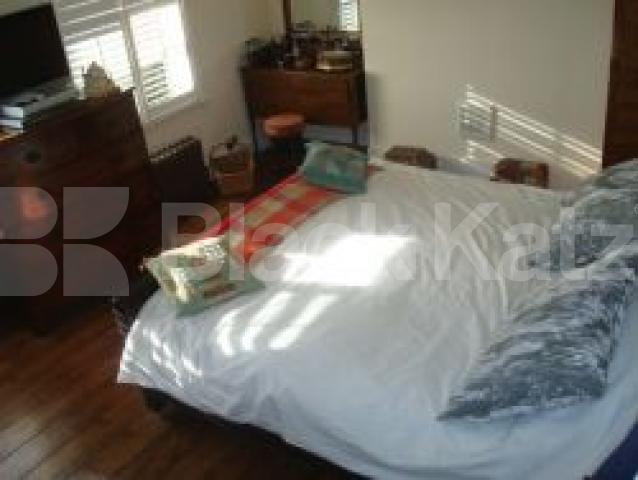 			New Instrction, 3 Bedroom, 1 bath, 1 reception Flat			 Lambton Road, Crouch Hill / Archway