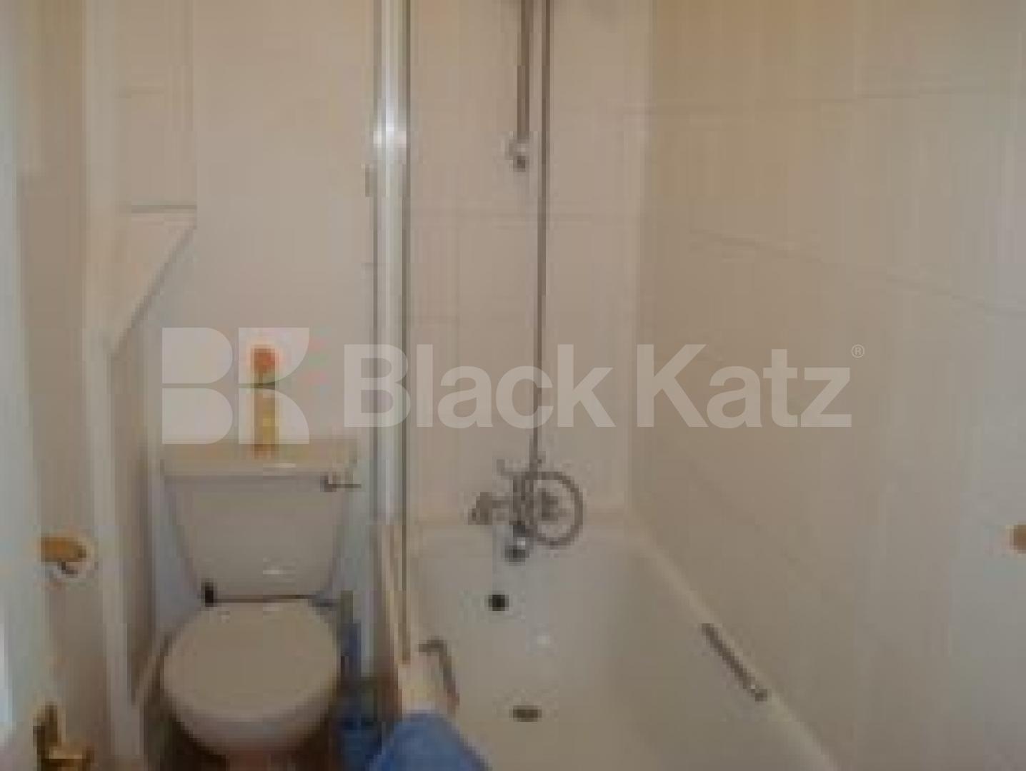 			New instruction, 1 Bedroom, 1 bath, 1 reception Flat			 St Thomas Road, FINSBURY PARK