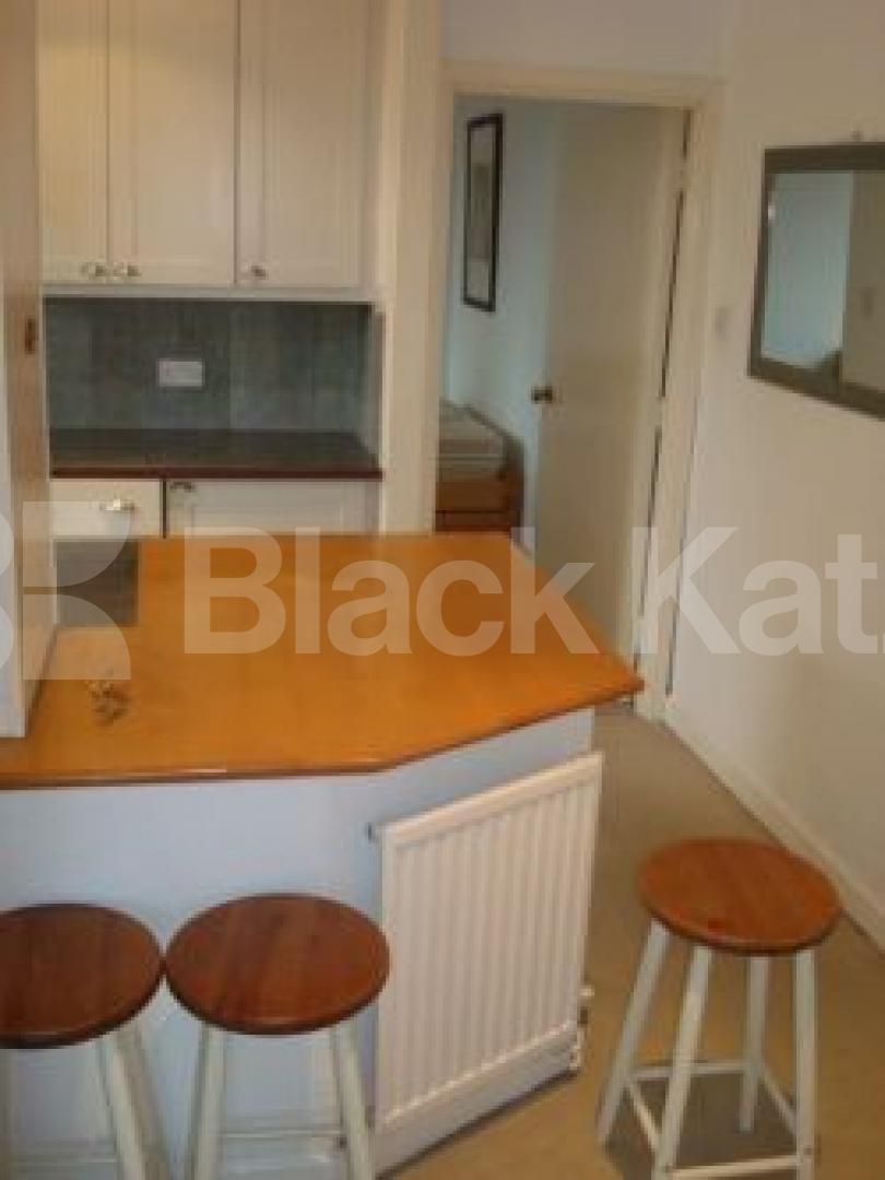 			New Instruction and Inclusive of bills, 1 Bedroom, 1 bath, 1 reception Flat			 Pleasant Place, Angel