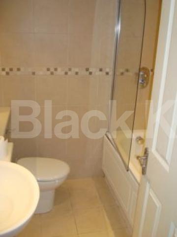 			NEW INSTRUCTION, 1 Bedroom, 1 bath, 1 reception Flat			 St Chad Street, Russell Square