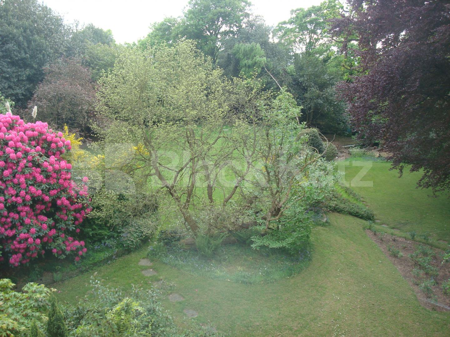 			New Instruction, 3 Bedroom, 1 bath, 1 reception Flat			 Branch Hill, HAMPSTEAD