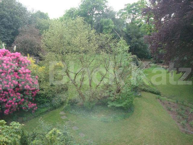 			New Instruction, 3 Bedroom, 1 bath, 1 reception Flat			 Branch Hill, HAMPSTEAD