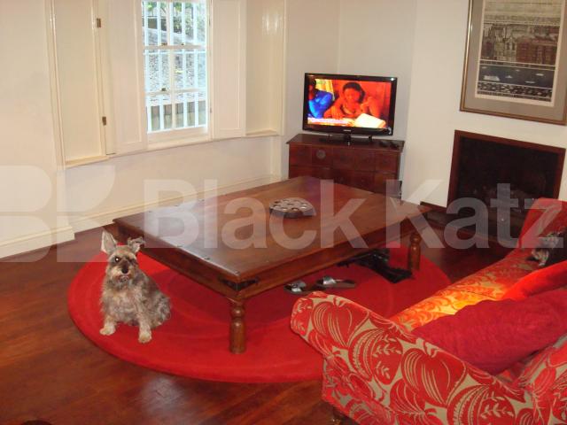 			New Instruction, 1 Bedroom, 1 bath, 1 reception Flat			 Ockendon road, De beauvior town / Highbury