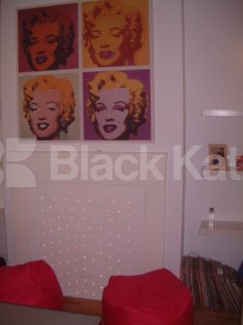 			NEW INSTRUCTION, 1 Bedroom, 1 bath, 1 reception Flat			 Waterlow road, Archway