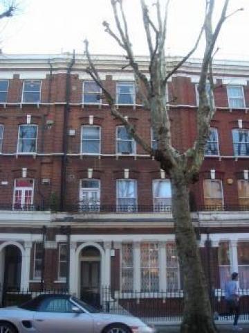 			2 Bedroom, 1 bath, 1 reception Flat			 Elgin Avenue, MAIDA VALE