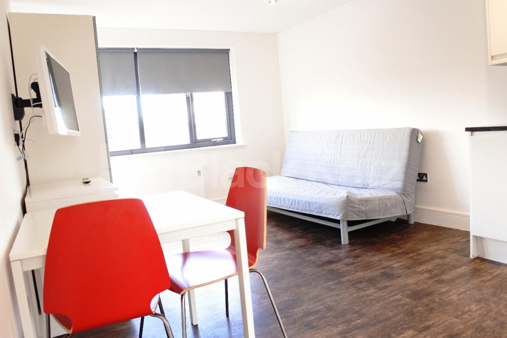 			STUNNING NEW DEVELOPMENT!!!!, Studio Apartment, 1 bath, 1 reception Studio			 Green Lanes, Haringey