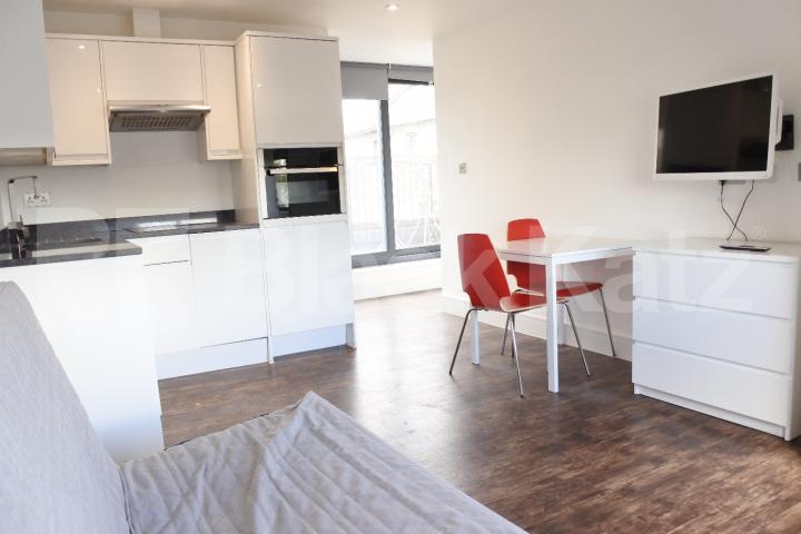 			STUNNING NEW DEVELOPMENT!!!!, Studio Apartment, 1 bath, 1 reception Studio			 Green Lanes, Haringey