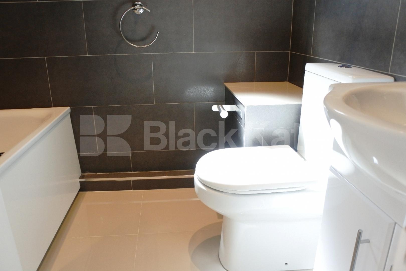 			Great newly refurbished property with roof terrace, 1 Bedroom, 1 bath, 1 reception Flat			 High Street, Hornsey/Crouch End