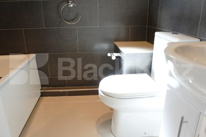 			Great newly refurbished property with roof terrace, 1 Bedroom, 1 bath, 1 reception Flat			 High Street, Hornsey/Crouch End