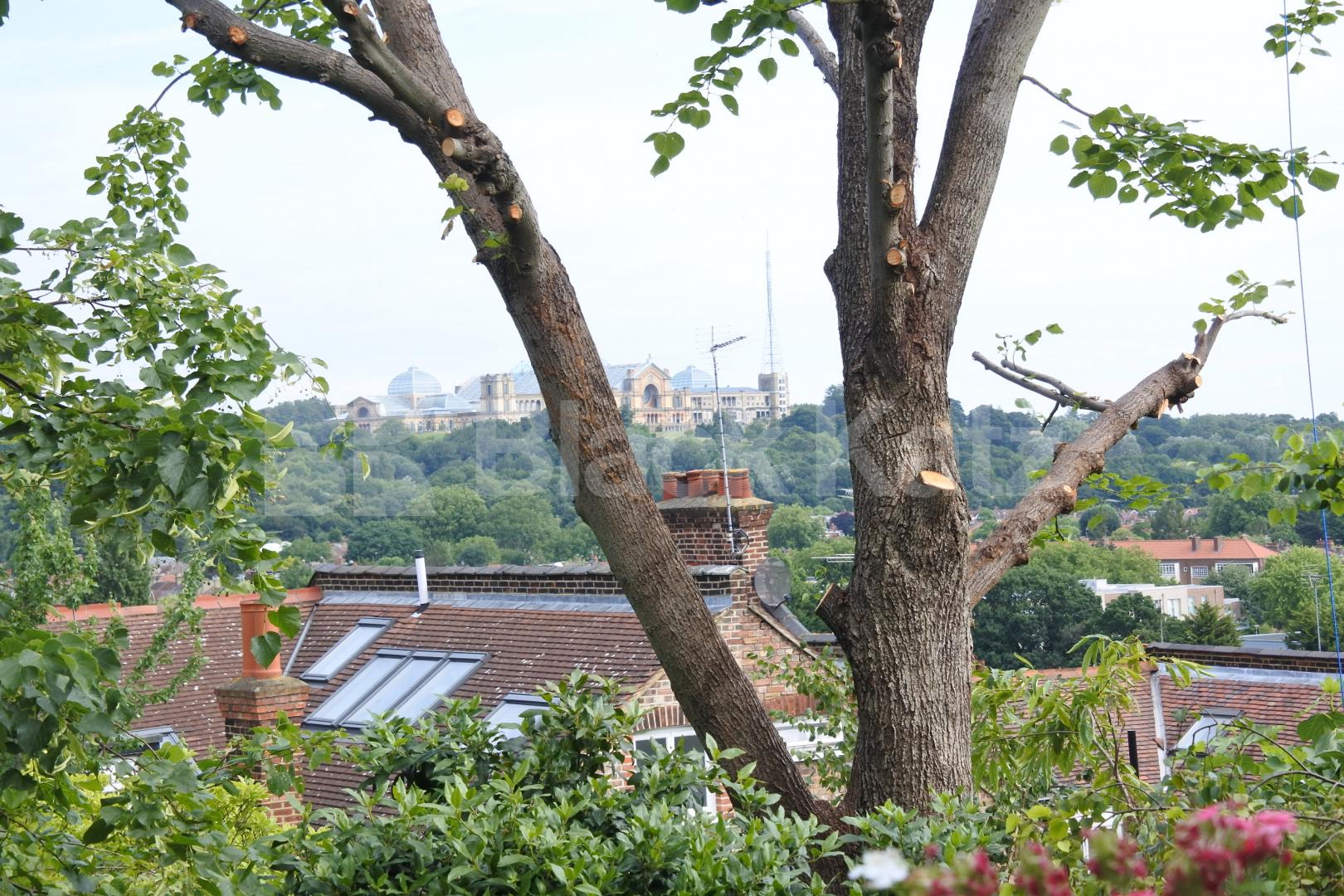 			Stylish four bedroom house in Crouch End/Highgate periphery, 4 Bedroom, 1 bath, 1 reception End Terraced House			 Wolseley Road, Crouch End
