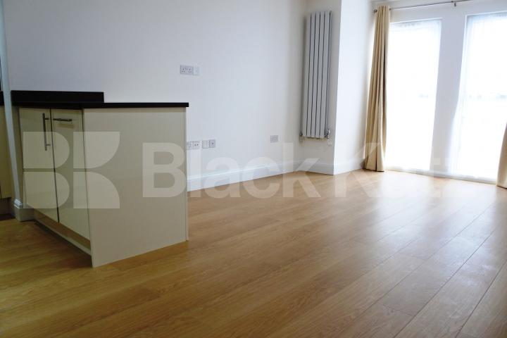 			FANSTASTIC NEW INSTRUCTION!, 3 Bedroom, 1 bath, 1 reception Flat			 Alexandra Palace Way, Alexandra Palace