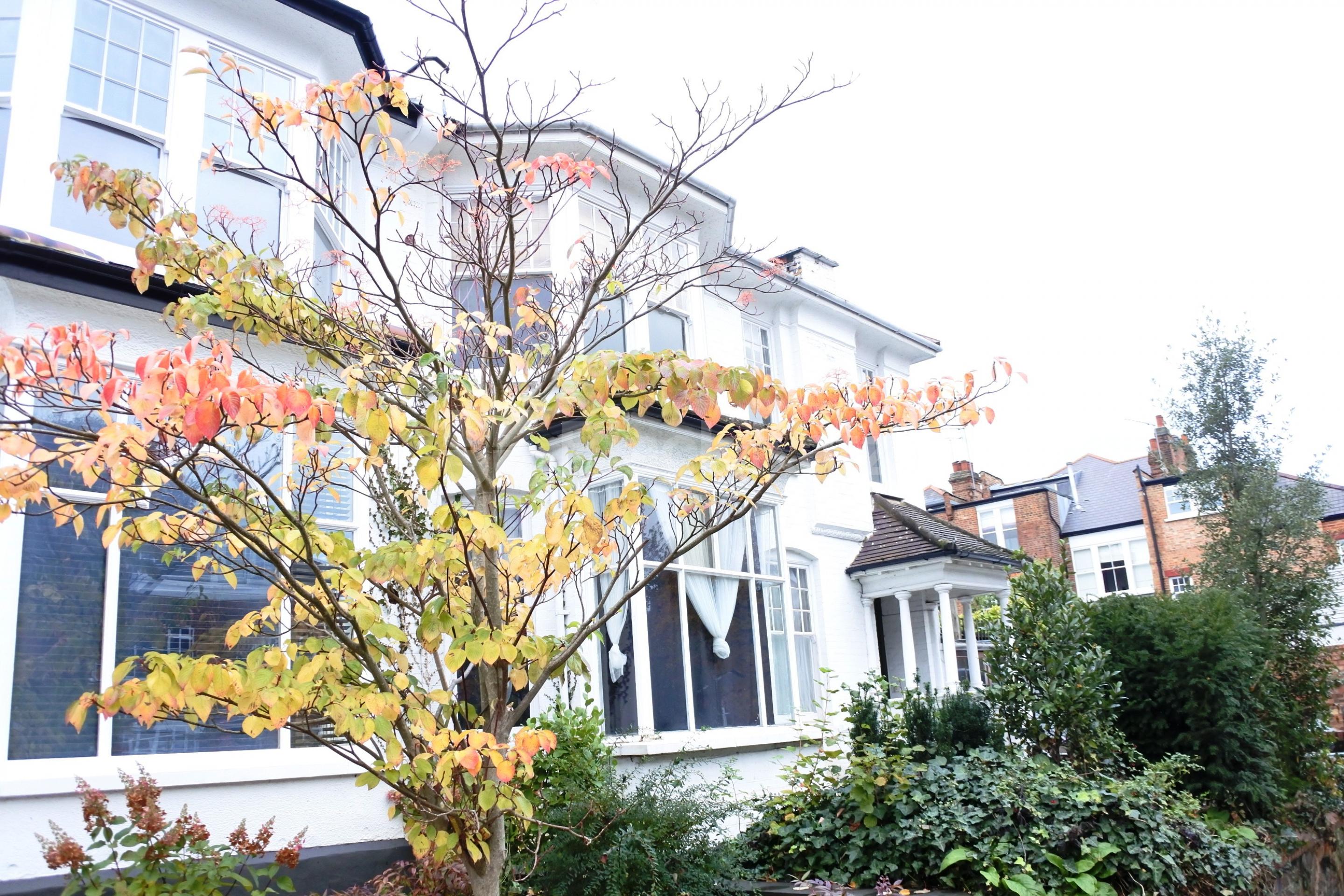 			FANSTASTIC NEW INSTRUCTION  No Admin Fees On This Property !, 3 Bedroom, 1 bath, 1 reception Flat			 Elms Avenue, Muswell Hill N10