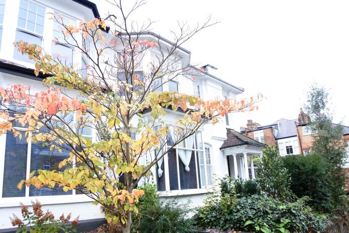 			FANSTASTIC NEW INSTRUCTION  No Admin Fees On This Property !, 3 Bedroom, 1 bath, 1 reception Flat			 Elms Avenue, Muswell Hill