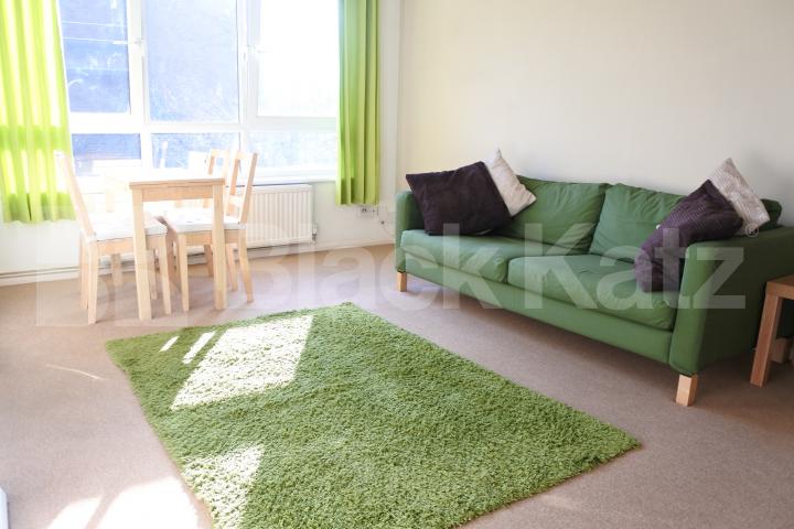 			1 Bedroom, 1 bath, 1 reception Flat			 The Sandlings, Wood Green