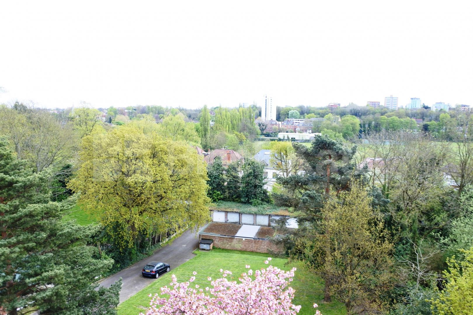 			1 Bedroom, 1 bath, 1 reception Flat			 Shepherds Hill, Highgate