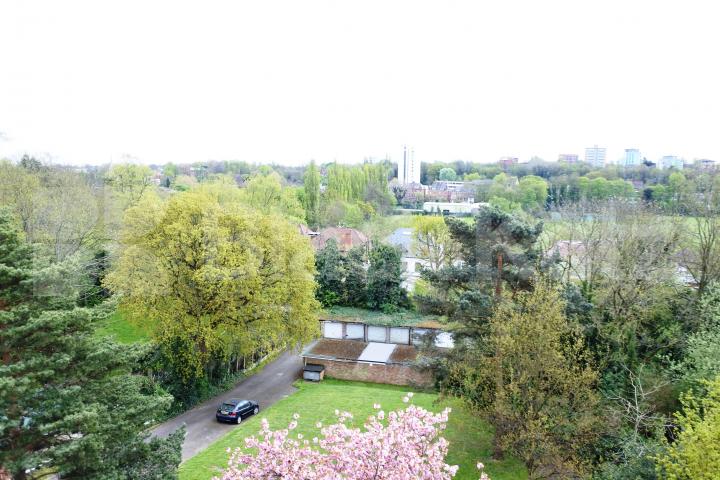 			1 Bedroom, 1 bath, 1 reception Flat			 Shepherds Hill, Highgate