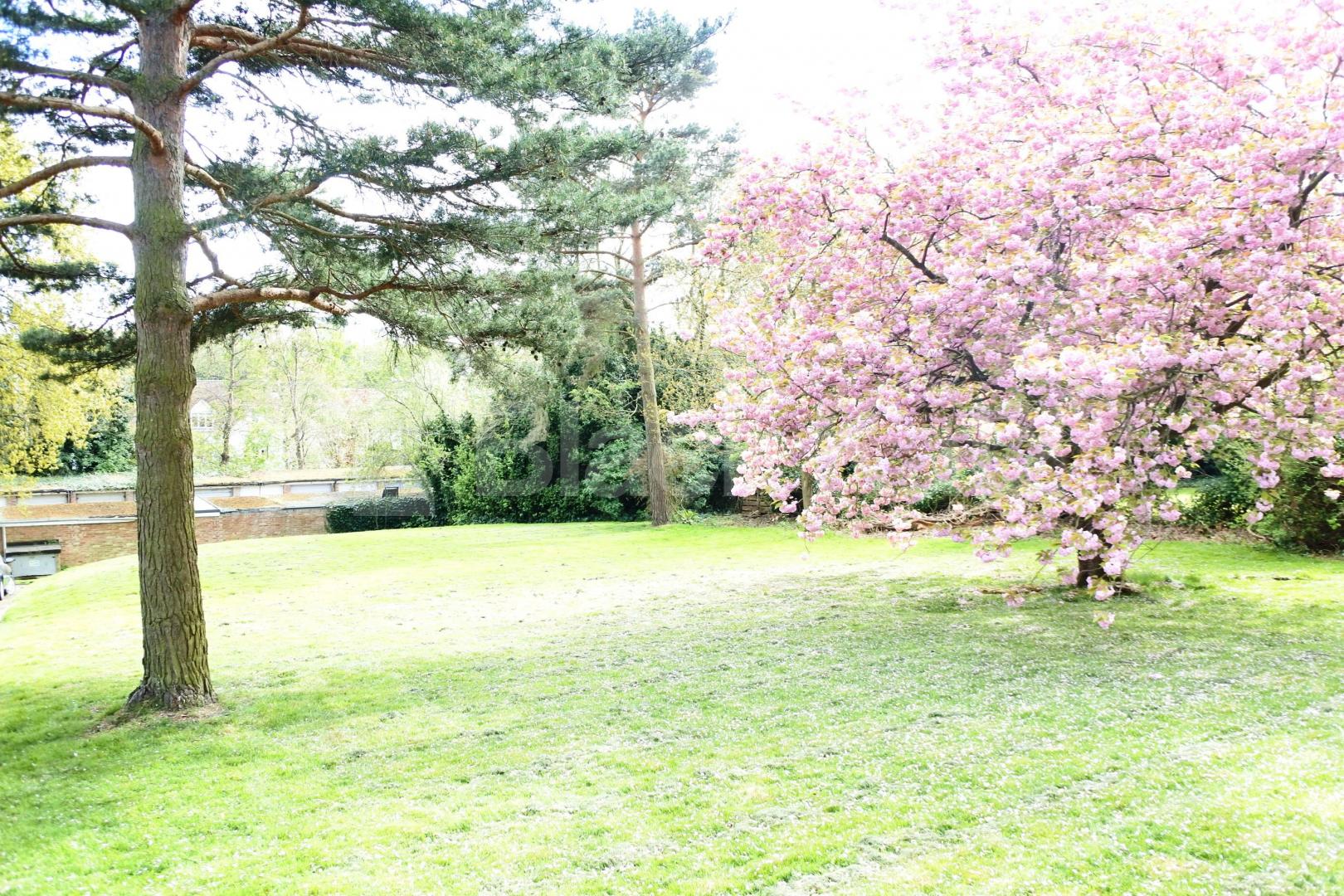 			1 Bedroom, 1 bath, 1 reception Flat			 Shepherds Hill, Highgate