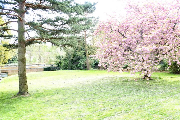 			1 Bedroom, 1 bath, 1 reception Flat			 Shepherds Hill, Highgate