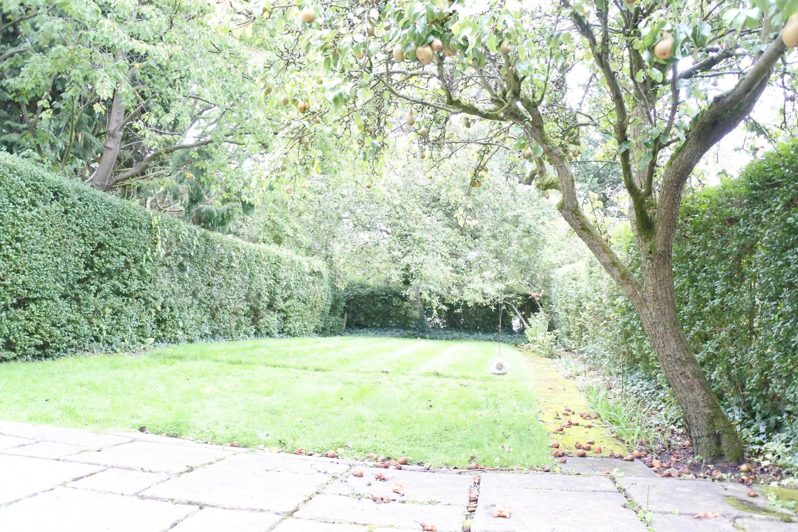 			Amazing 4 Bedroom House on Premier Road !, 4 Bedroom, 1 bath, 1 reception House			 Gurney Drive , East Finchley 