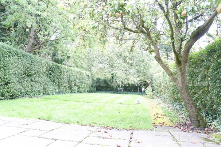 			Amazing 4 Bedroom House on Premier Road !, 4 Bedroom, 1 bath, 1 reception House			 Gurney Drive , East Finchley 