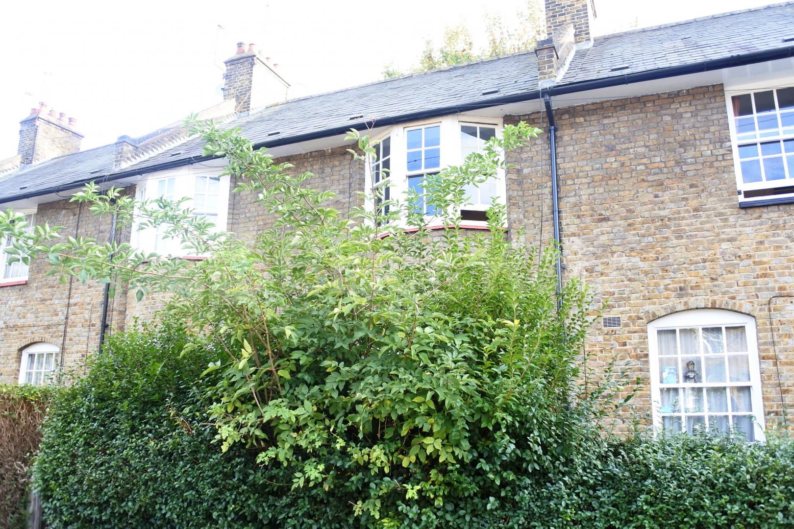 			NEW INSTRUCTION!, 3 Bedroom, 1 bath, 1 reception Terraced House			 Tower Gardens, Tottenham 