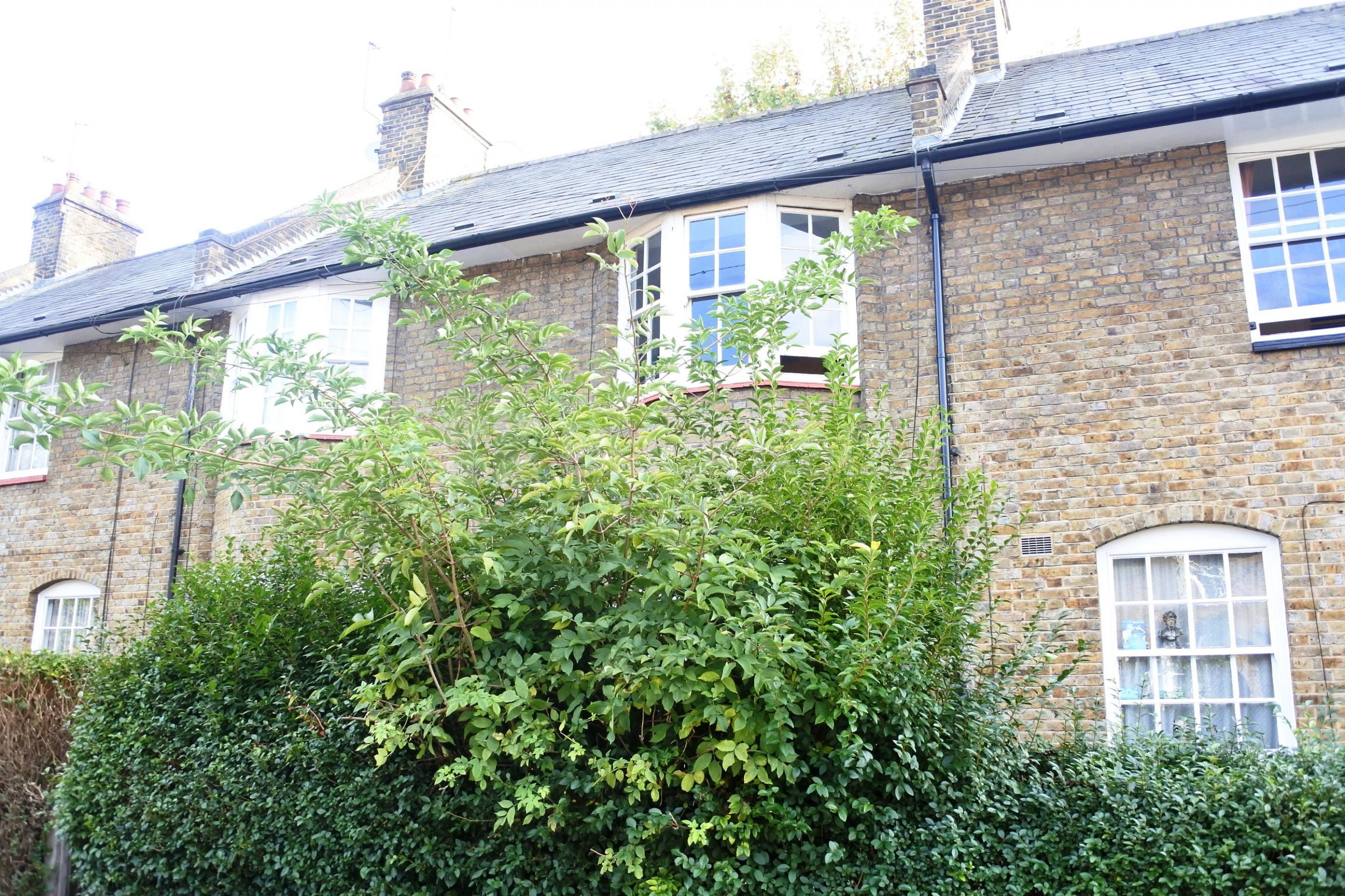 			NEW INSTRUCTION!, 3 Bedroom, 1 bath, 1 reception Terraced House			 Tower Gardens, Tottenham  N17