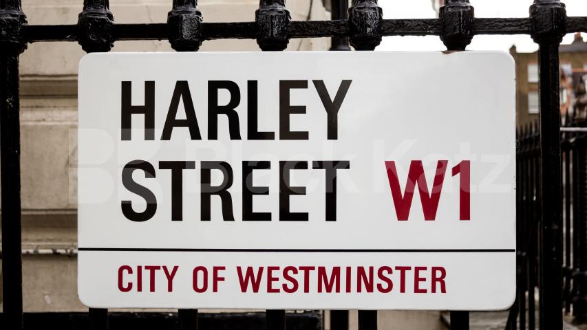 			HUGE ONE BED NEAR REGENTS PARK!, 1 Bedroom, 1 bath, 1 reception Flat			 Harley Street, WEST END / MARYLEBONE 