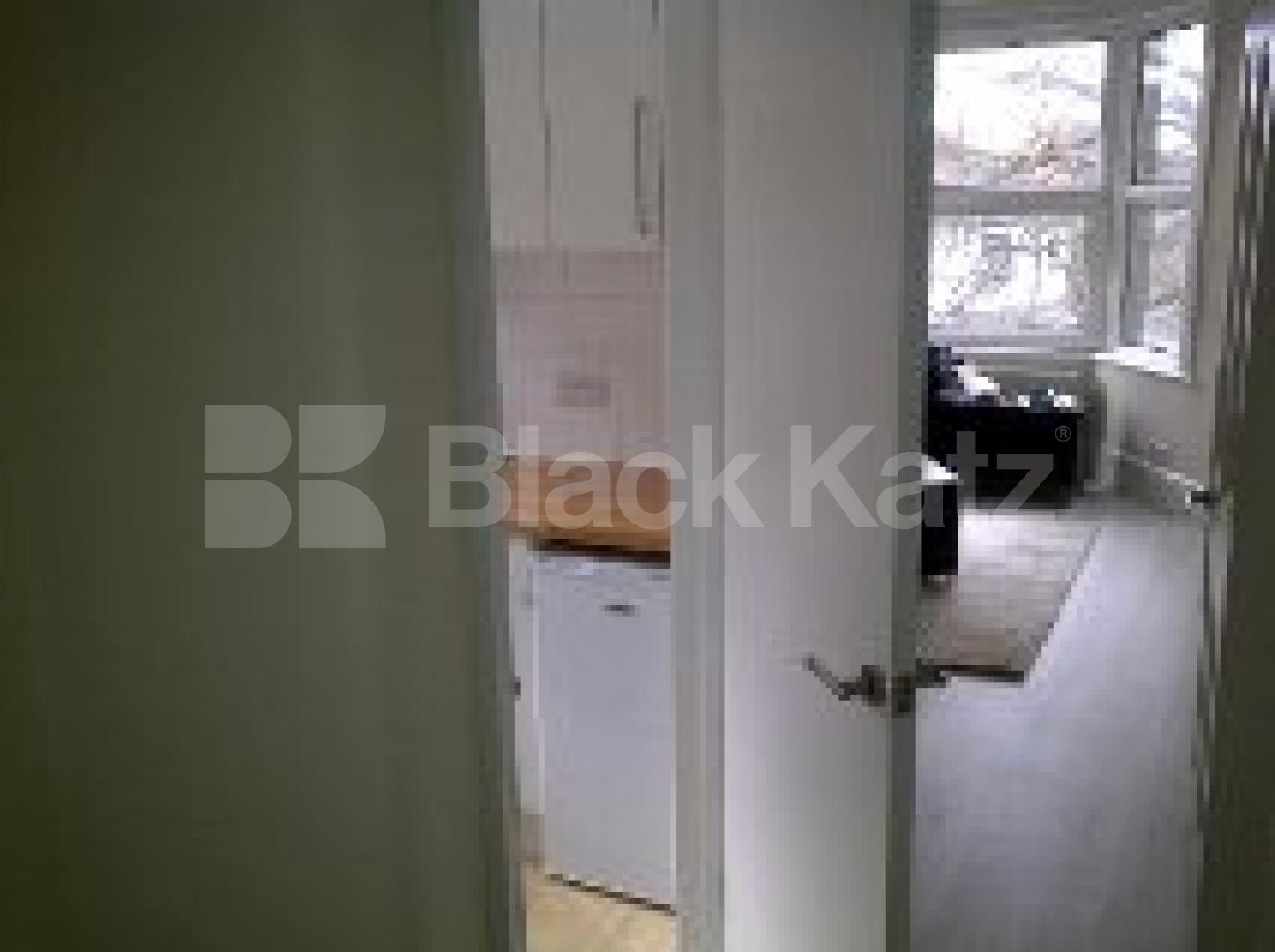 			NEW INSTRUCTION , Studio Apartment, 1 bath, 1 reception Flat			 Tierney Road, Streatham/Brixton