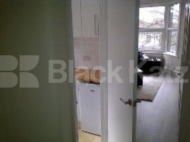 			NEW INSTRUCTION , Studio Apartment, 1 bath, 1 reception Flat			 Tierney Road, Streatham/Brixton