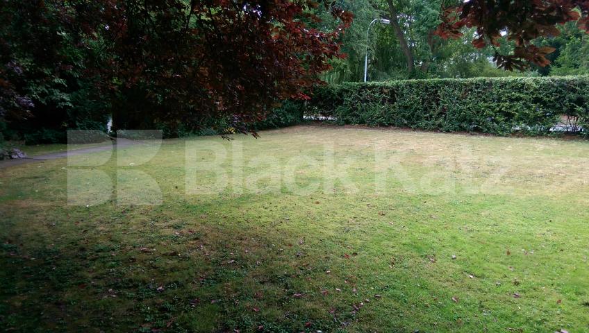 			1 Bedroom, 1 bath, 1 reception Ground Floor Flat			 Coolhurst Road, Crouch end