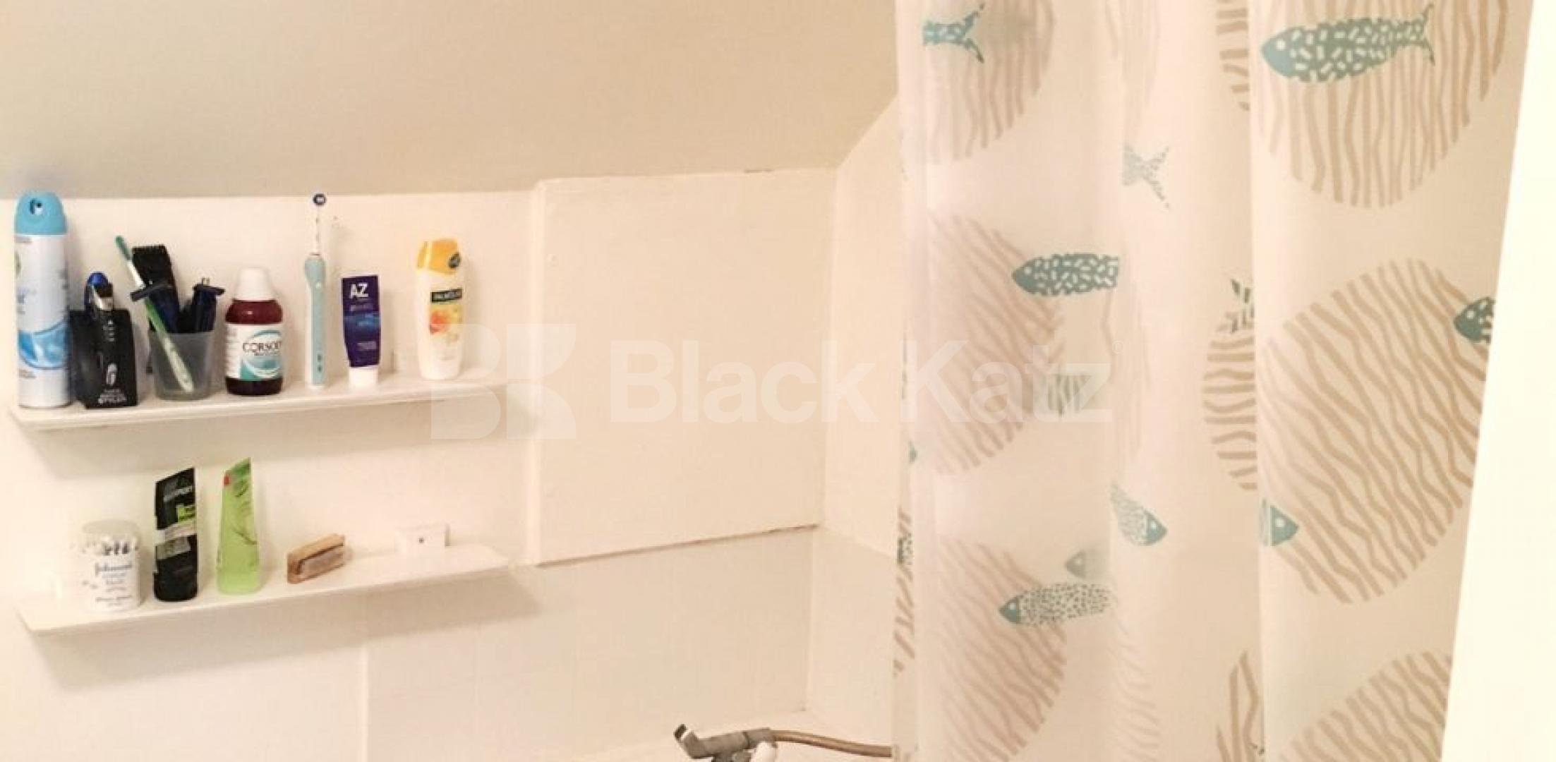 			NEW INSTRUCTION (Private Garden), 1 Bedroom, 1 bath, 1 reception Flat			 Hadyn Park Road, Shepherds Bush