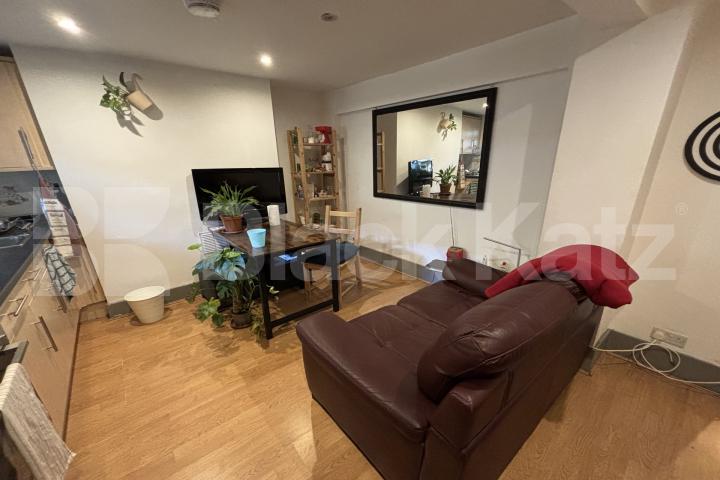 Georgian conversion spread on the ground floor with charming patio garden  Wansey Street, London Bridge