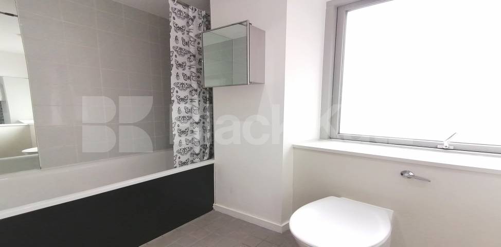			LET , 1 Bedroom, 1 bath, 1 reception Apartment			 Michigan Avenue, Biscayne Avenue, Canary Wharf