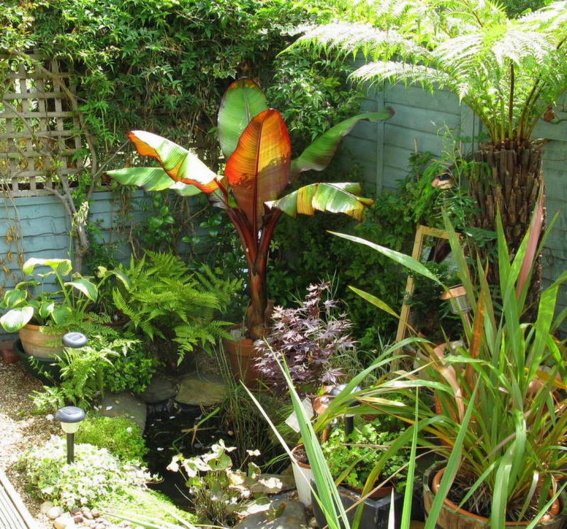 			1 month deposit instead of 6 weeks, saving you £683.33!, 2 Bedroom, 1 bath, 1 reception Flat			 Mapesbury Road, KILBURN