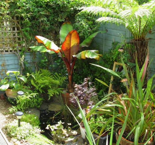 			1 month deposit instead of 6 weeks, saving you £683.33!, 2 Bedroom, 1 bath, 1 reception Flat			 Mapesbury Road, KILBURN