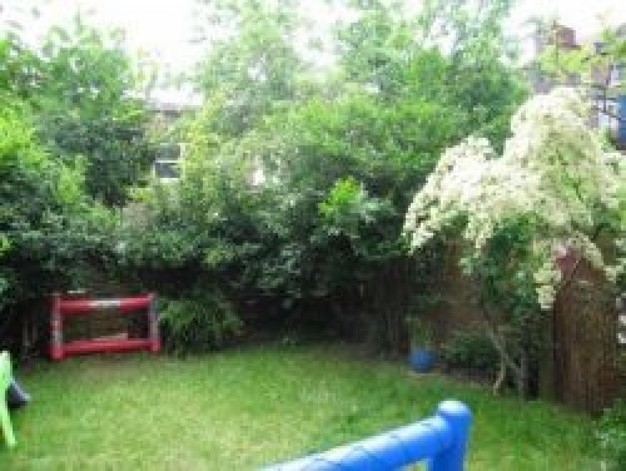 			A must see, 2 Bedroom, 1 bath, 1 reception Flat			 Keslake Road, QUEENS PARK/KENSAL GREEN NW6