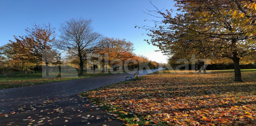 			LET , 1 Bedroom, 1 bath, 1 reception Apartment			 St. Georges Way, Peckham / Elephant and Castle