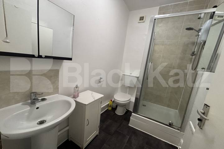 Period house with two reception rooms,  two bathrooms & beautiful patio garden Clayton Road , Peckham 