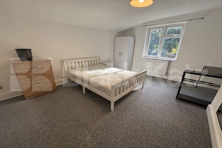 Period house with two reception rooms,  two bathrooms & beautiful patio garden Clayton Road , Peckham 