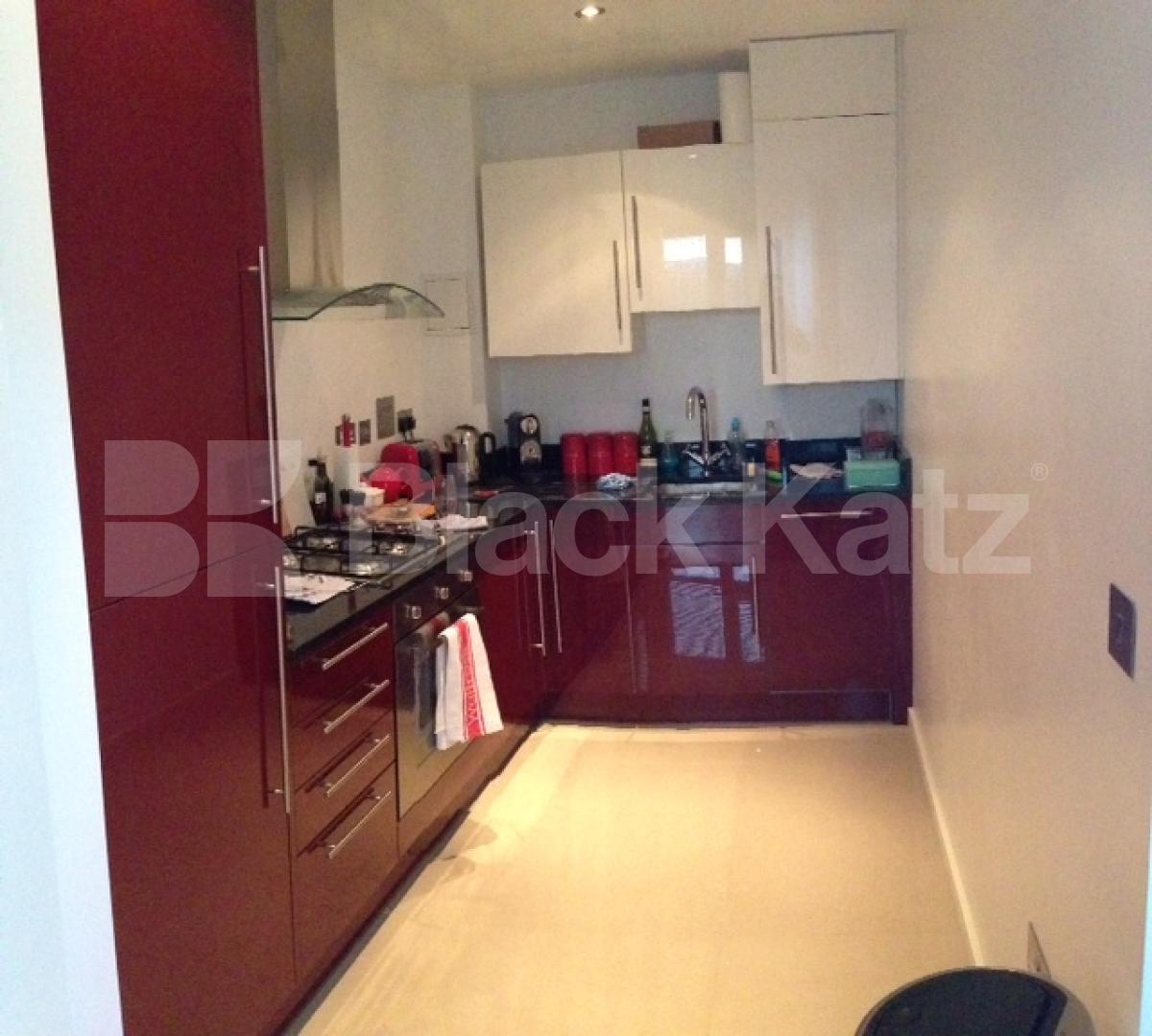 			NEW INSTRUCTION , 1 Bedroom, 1 bath, 1 reception Apartment			 Great Suffolk Street , Waterloo/Southwark.