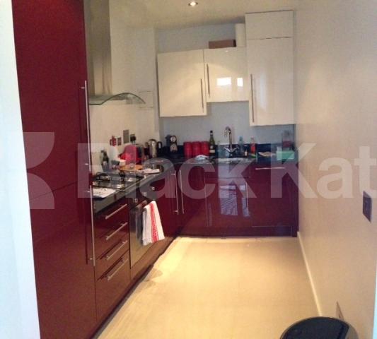 			NEW INSTRUCTION , 1 Bedroom, 1 bath, 1 reception Apartment			 Great Suffolk Street , Waterloo/Southwark.