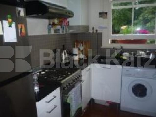 			1 Bedroom, 1 bath, 1 reception Flat			 Cecile Park, CROUCH END