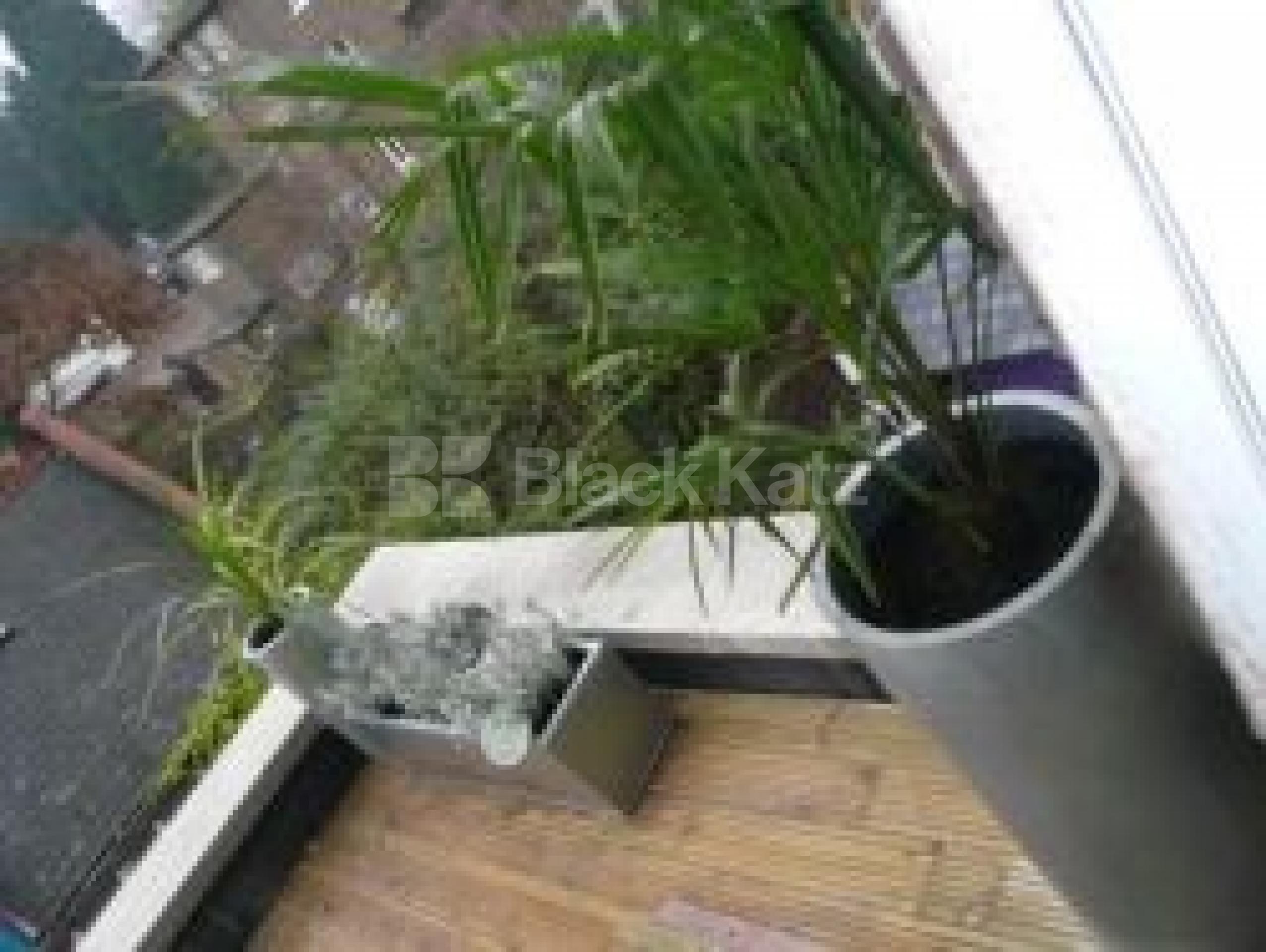 			2 Bedroom, 1 bath, 1 reception Flat			 Crouch Hill, CROUCH END N8