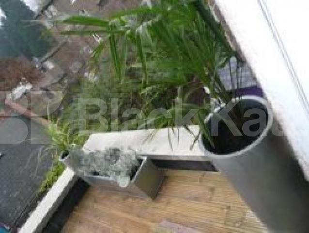 			2 Bedroom, 1 bath, 1 reception Flat			 Crouch Hill, CROUCH END