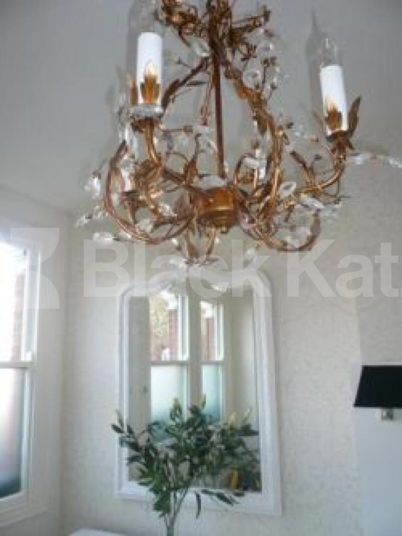 			1 Bedroom, 1 bath, 1 reception Ground Floor Flat			 Westbury Ave, TURNPIKE LANE