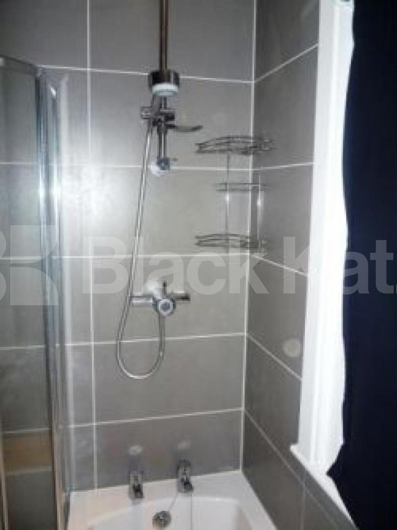 			Great flat!, 2 Bedroom, 1 bath, 1 reception Flat			 Wolseley Road, ALEXANDRA PALACE